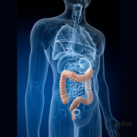 10 Formas de Reprogramar o Seu Intestino e Melhorar a Digestão